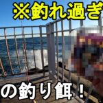【神奈川県某所】スーパーの定番食材(298円)で奇跡が連発！？海釣りオフシーズン期間の真冬の時期に、関東地方にある神奈川県の釣り場で、とある食べ物を釣り餌にして釣りしてみたら…！【2025年1月下旬】