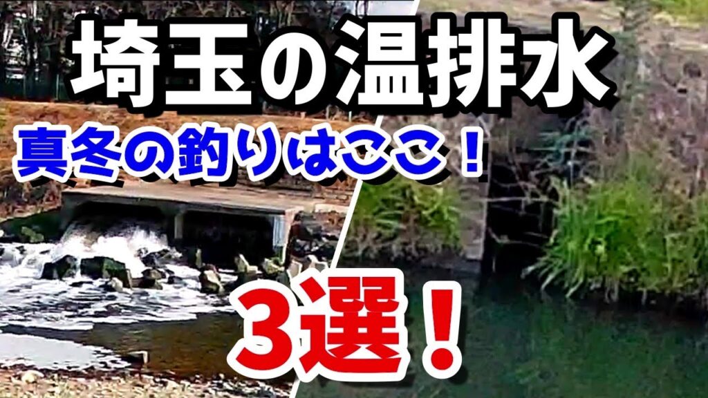 【バス釣り】埼玉の温排水3選！！