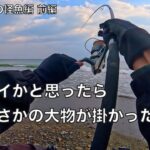 30kgオーバーの巨大魚がうろつく砂浜でルアー釣りしたら‥