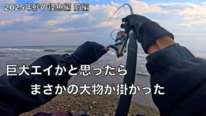 30kgオーバーの巨大魚がうろつく砂浜でルアー釣りしたら‥