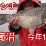 へら鮒釣り　大型41センチ　平筒沼　今年の1号