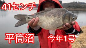 へら鮒釣り　大型41センチ　平筒沼　今年の1号