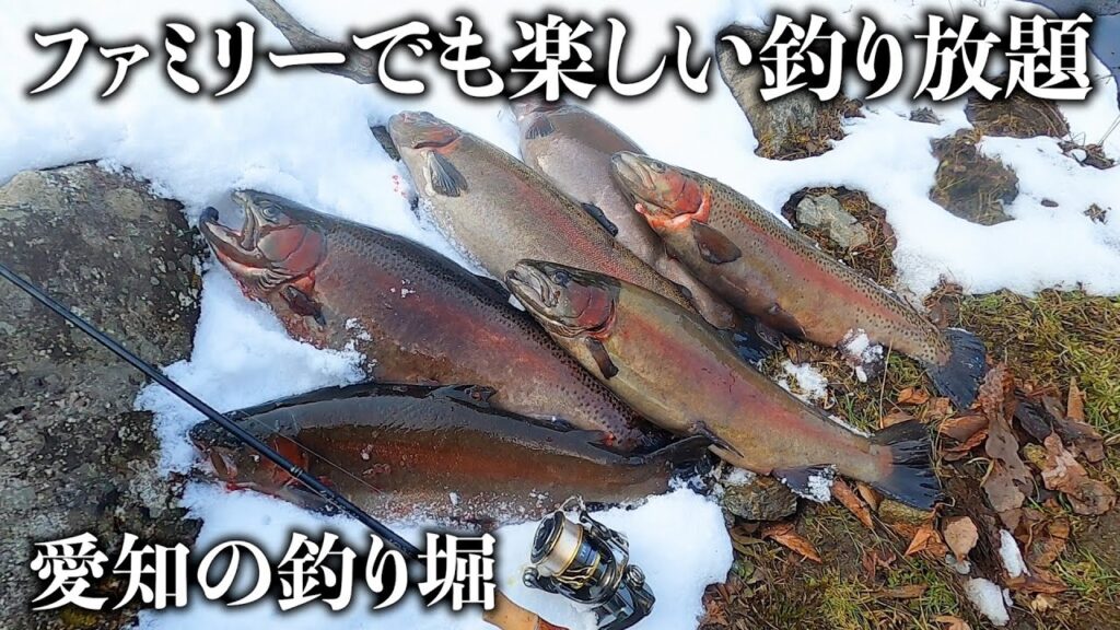 素人でも激安で50㎝級が釣り放題の【訳アリ】釣り堀が地域最強です！