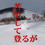 ワカサギ釣り　かなやま湖　水深5mの一番楽しい時期　X-DAYとまではいかずも爆釣