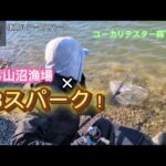 【Bスパーク】なら山沼漁場！！テスター石井が実釣!!