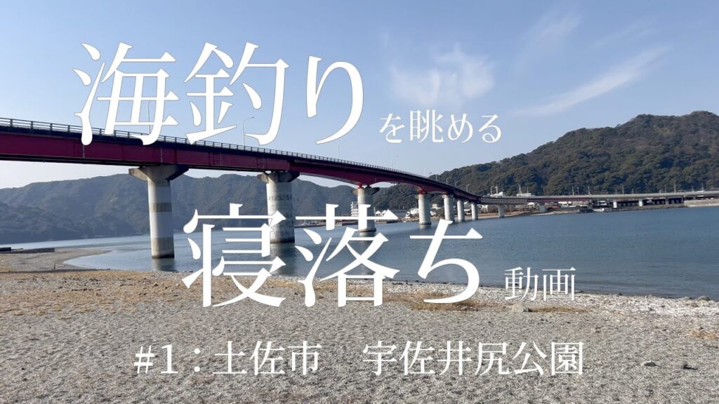 【睡眠用】海釣りを眺める寝落ち動画　#１宇佐井尻公園【BGMなし】