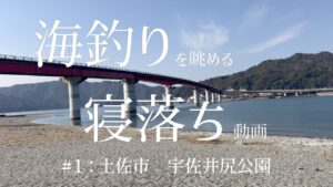 【睡眠用】海釣りを眺める寝落ち動画 #1宇佐井尻公園【BGMなし】