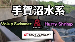 【手賀沼バス釣り】手賀沼水系でBOTTOMUPのルアーコンビでまさきちリグで釣りをした結果・・・デカバスがバイト!!