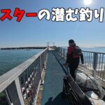 リニューアルした須磨海釣り公園がめちゃくちゃ快適でした。【BougeRV 電動キャリーワゴン 楽GoWagon】