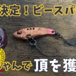 【足柄CA】頂鱒もメロメロ？足柄オリカラ B-spark ラピちゃん