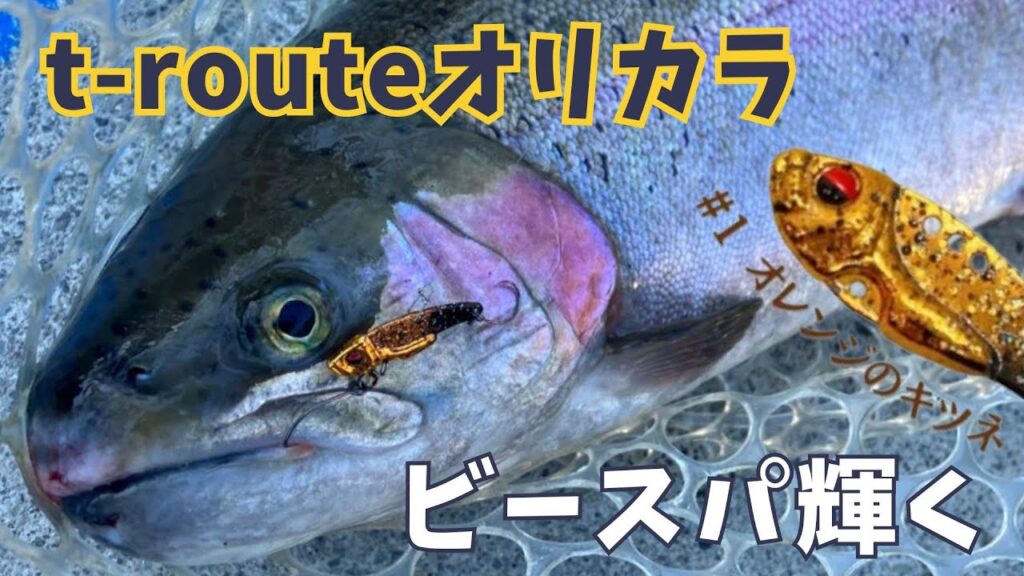 【足柄CA】大物も数釣りも！ビースパt-routeオリカラ無双