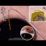 まだ使い慣れてない穂先D-JOKERとSNIPER IIを深場で使ってみた。#ワカサギ釣り