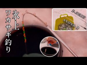 まだ使い慣れてない穂先D-JOKERとSNIPER IIを深場で使ってみた。#ワカサギ釣り