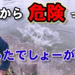 ヘラ師が帰ると危険な釣り公園【埼玉県春日部市】Fishing Girl | Best Fishing Video