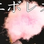 エボレス　Fly Tying フライタイイング　管理釣り場爆釣フライ