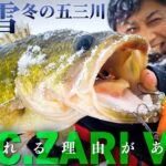 【G.C.ザリバイブ】豪雪・極寒・真冬に“釣れる理由がある” / 赤松 健 in 五三川【Fishing Vibes】