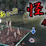 初調査！群馬県にとんでもない管理釣り場があった！【エリアトラウト・管理釣り場・宮城アングラーズビレッジ】／HartDesign(ハートデザイン)【Vol.397】