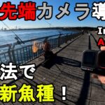 【神奈川県某所】新釣法で開始直後に高級新魚種が！？真冬の厳寒期に関東地方の東京湾に面した釣り場で、最新アクションカメラのInsta360、AcePro2のテスト撮影をしていたら…！【2025.2.7】