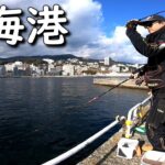熱海港海釣り施設でフカセ釣り。マダイとカワハギとシマアジを狙ってみた。MANCING MANIA JAPAN