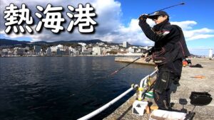 熱海港海釣り施設でフカセ釣り。マダイとカワハギとシマアジを狙ってみた。MANCING MANIA JAPAN