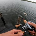 柴山沼でバス釣り！【秋の入れ食いスイッチON！】