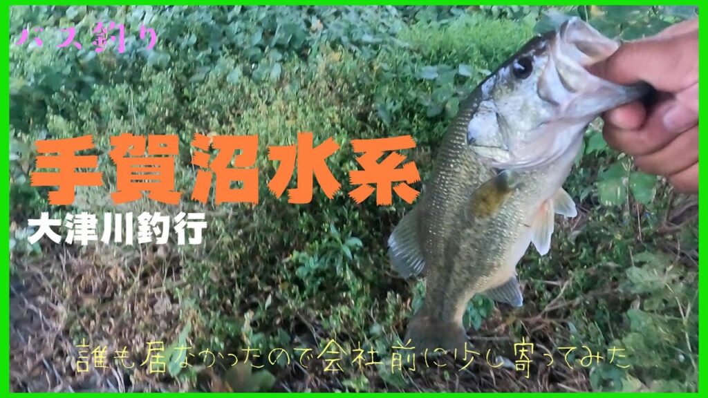 【バス釣り】手賀沼にて久しぶりの釣行！　＃手賀沼　＃バス釣り　＃大津川　＃POP X　＃メガバス
