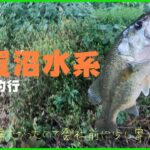 【バス釣り】手賀沼にて久しぶりの釣行！　＃手賀沼　＃バス釣り　＃大津川　＃POP X　＃メガバス