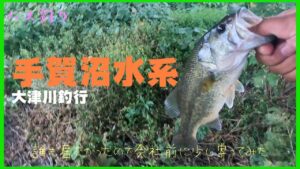 【バス釣り】手賀沼にて久しぶりの釣行！　＃手賀沼　＃バス釣り　＃大津川　＃POP X　＃メガバス