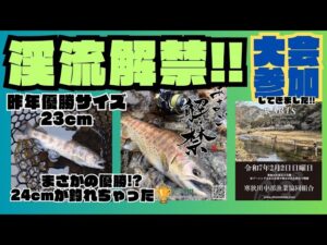 渓流解禁&釣り大会開催【愛知県寒狭川中部】【RARTS主催チャンピオンシップ】今年は優勝!?ドキドキが止まりませんでした😁😆🥰