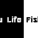 SlowLife Fishing外伝(寒いから1匹釣ったら終了)【管理釣り場】【エリアトラウト】