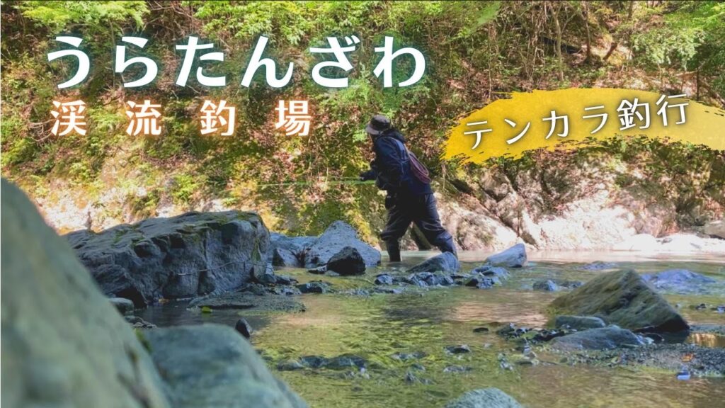 【Tenkara】いつもの管理釣り場で不調、整う。テンカラ毛鉤釣行【Trout Fishing】