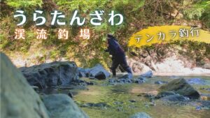 【Tenkara】いつもの管理釣り場で不調、整う。テンカラ毛鉤釣行【Trout Fishing】