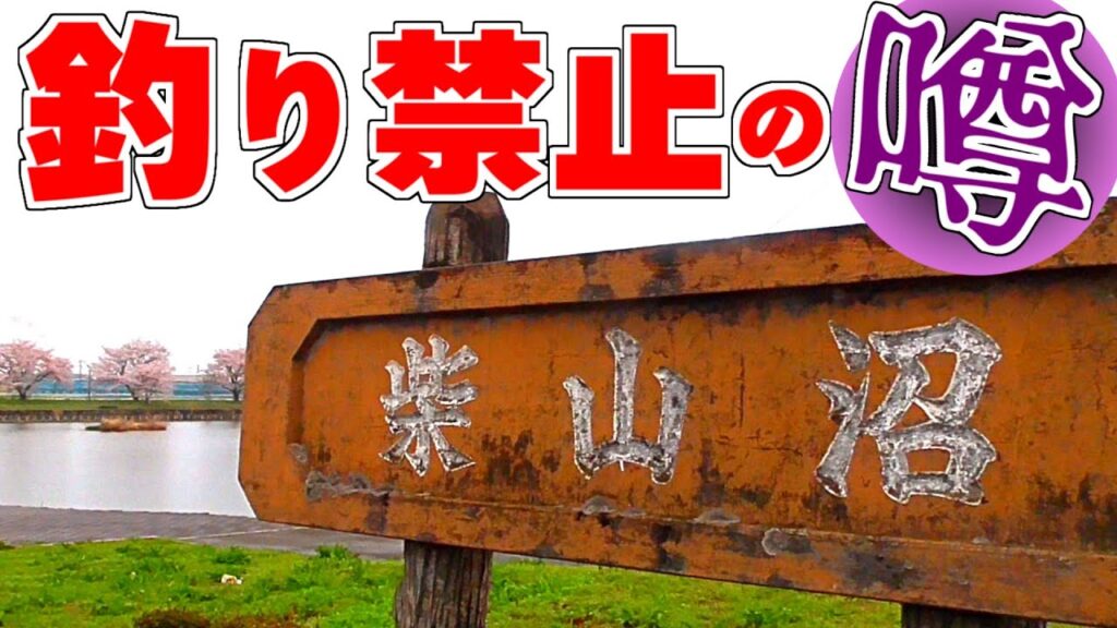 【調べてみたら】Twitterで釣り禁止の噂が流れた沼の真相に迫るため実地調査と釣り【埼玉県柴山沼】