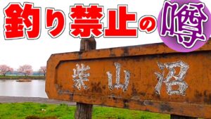 【調べてみたら】Twitterで釣り禁止の噂が流れた沼の真相に迫るため実地調査と釣り【埼玉県柴山沼】