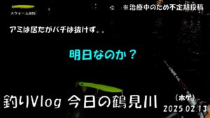 シーバス釣りVlog 今日の鶴見川 2025年2月13日（ホゲ）アミは居たがバチ抜けず。。明日なのか