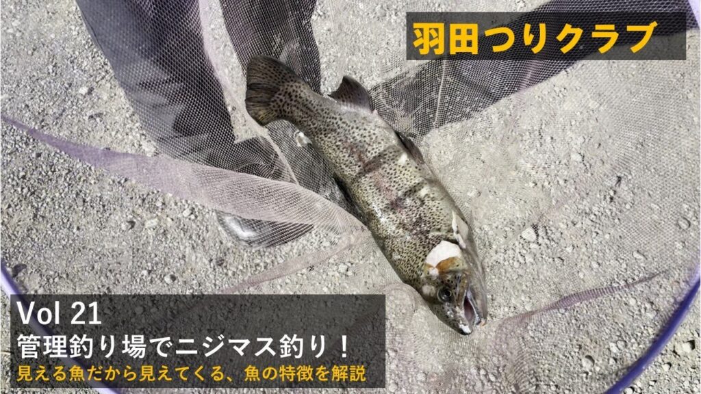 Vol 21 管理釣り場でニジマス釣り