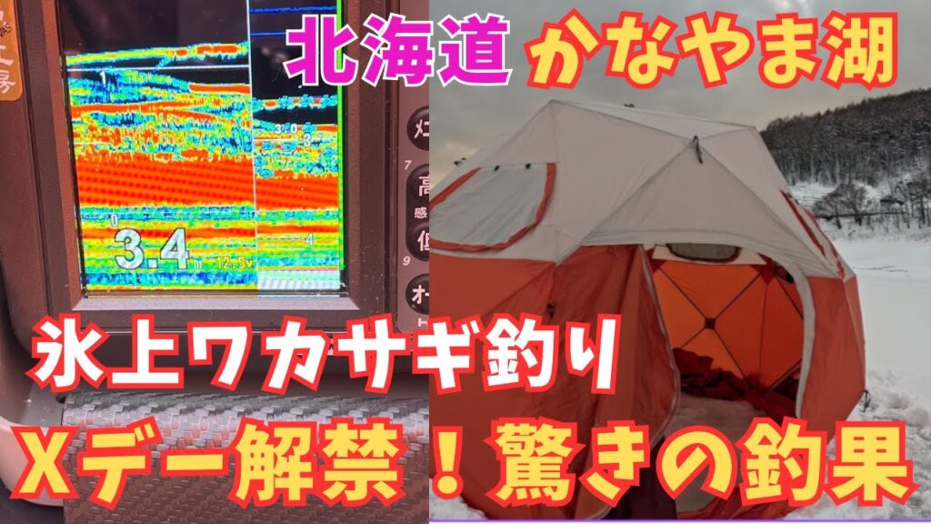 [氷上ワカサギ釣り]北海道、富良野カナヤマ湖でワカサギ釣り🎣Xデー解禁❓️驚きの釣果🐟️