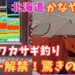 [氷上ワカサギ釣り]北海道、富良野カナヤマ湖でワカサギ釣り🎣Xデー解禁❓️驚きの釣果🐟️