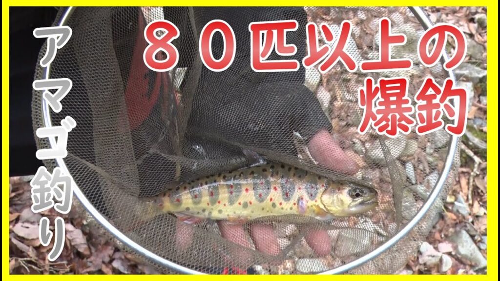 川釣り「西村 魁」haremachiスペシャリスト