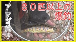 川釣り「西村 魁」haremachiスペシャリスト