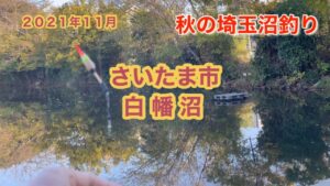 【小物釣り】秋ですがさいたま市の沼で猛攻撃 Micro fishing