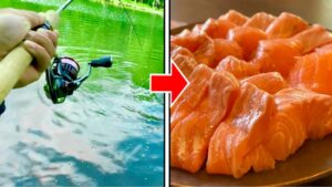 管理釣り場で二種類の大物サーモンを釣って生で食べ比べてみた エリアトラウトin黒保根渓流フィッシング