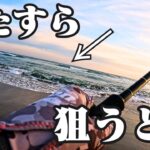 オフシーズンの遠州灘サーフで”とあるポイント”を狙うと釣れるかもしれません🐟in遠州灘、豊橋サーフ【釣行日2025/02/03(月)】