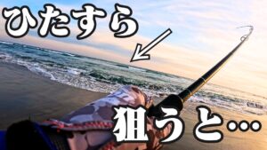 オフシーズンの遠州灘サーフで”とあるポイント”を狙うと釣れるかもしれません🐟in遠州灘、豊橋サーフ【釣行日2025/02/03(月)】