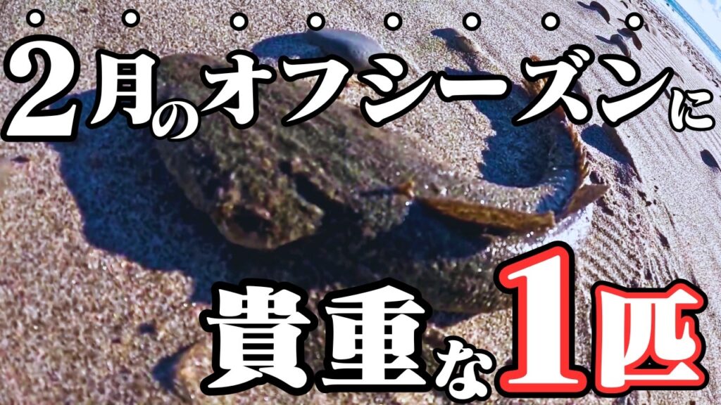 魚っ気のない真冬の遠州灘サーフで貴重な１匹❗️ロッドアクションせずルアーに完全に任せたら急に魚が飛び出しました🐟in遠州灘、田原サーフ【釣行日2025/02/10(月)】