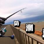 遠州灘サーフで初となるポイントに行ってきました！もう少し東の海岸では青物が釣れてました🐟in遠州灘、浜松サーフ舞阪サーフ【釣行日2025/02/12(水)】