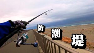 遠州灘サーフで初となるポイントに行ってきました！もう少し東の海岸では青物が釣れてました🐟in遠州灘、浜松サーフ舞阪サーフ【釣行日2025/02/12(水)】