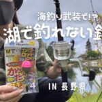 [これぞ釣りlog]海釣り仕掛けしか持ってない私の湖釣り