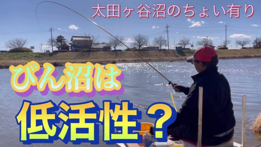 《へらぶな釣り to びん沼》両ダンゴ楽しめるかなと来たがしょっぱい釣りに😫