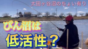 《へらぶな釣り to びん沼》両ダンゴ楽しめるかなと来たがしょっぱい釣りに😫
